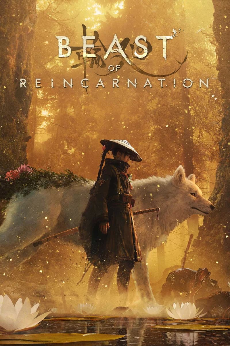 Beast Of Reincarnation box art